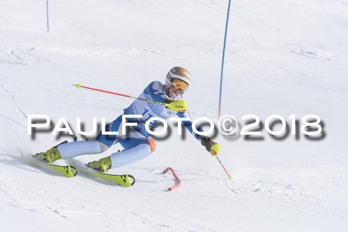 SVM U14/U16 Slalom 14.01.2018