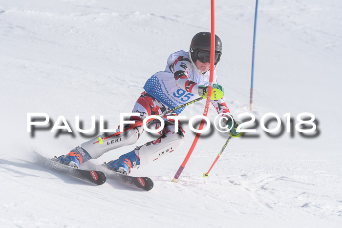 SVM U14/U16 Slalom 14.01.2018