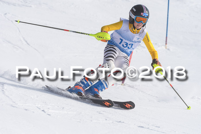 SVM U14/U16 Slalom 14.01.2018