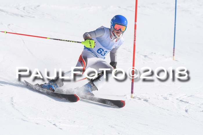 SVM U14/U16 Slalom 14.01.2018