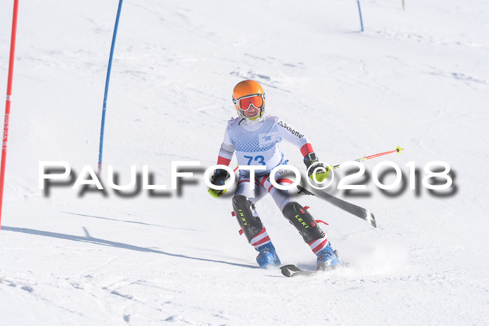 SVM U14/U16 Slalom 14.01.2018