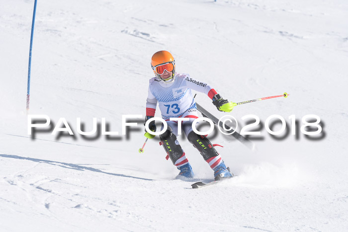 SVM U14/U16 Slalom 14.01.2018