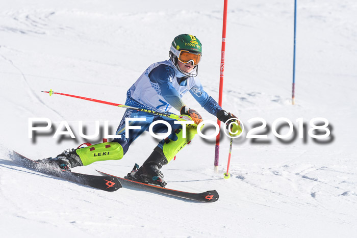 SVM U14/U16 Slalom 14.01.2018