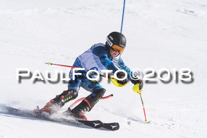 SVM U14/U16 Slalom 14.01.2018