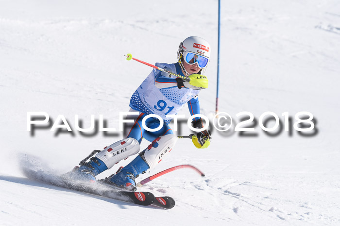 SVM U14/U16 Slalom 14.01.2018