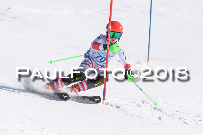 SVM U14/U16 Slalom 14.01.2018