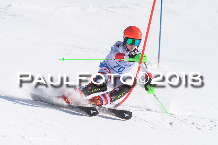 SVM U14/U16 Slalom 14.01.2018