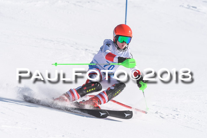 SVM U14/U16 Slalom 14.01.2018