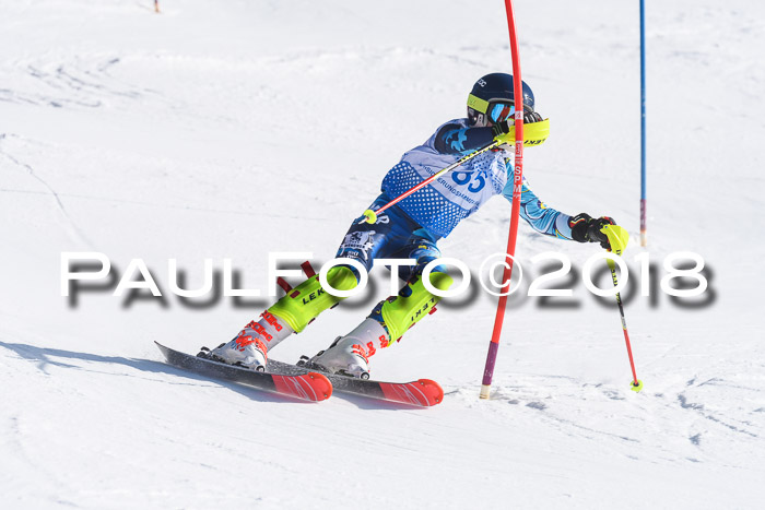 SVM U14/U16 Slalom 14.01.2018