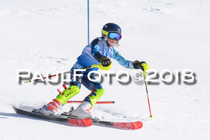 SVM U14/U16 Slalom 14.01.2018
