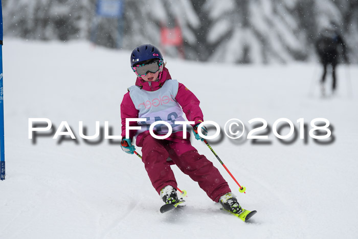 1. ASV Geiger Cup RS 20.01.2018
