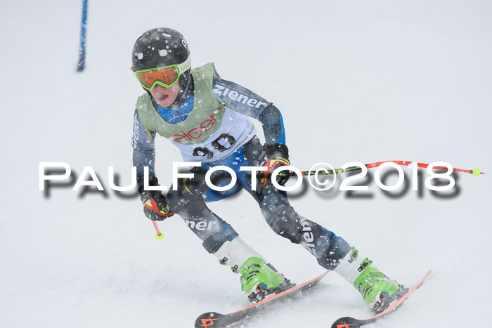 1. ASV Geiger Cup RS 20.01.2018