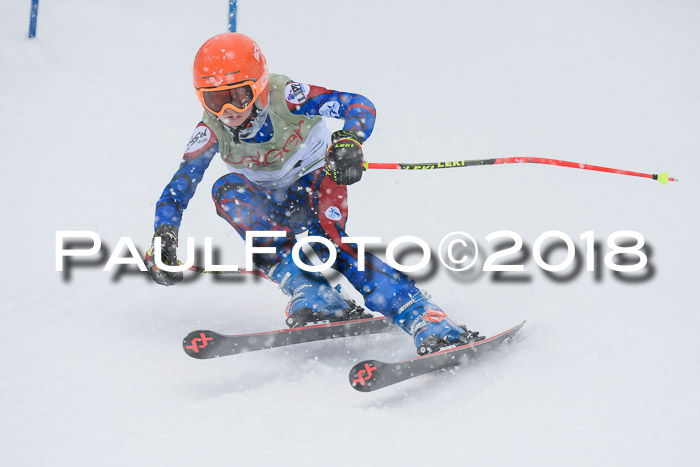 1. ASV Geiger Cup RS 20.01.2018