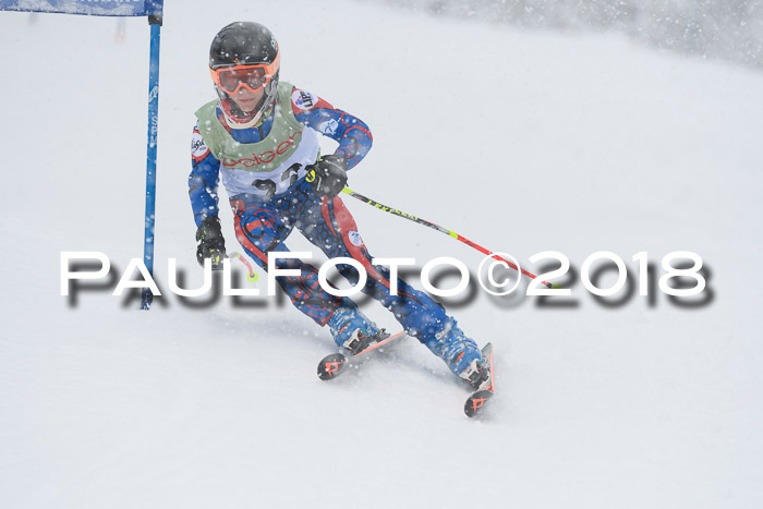 1. ASV Geiger Cup RS 20.01.2018