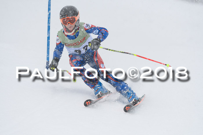 1. ASV Geiger Cup RS 20.01.2018
