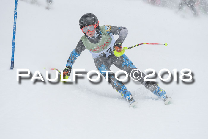 1. ASV Geiger Cup RS 20.01.2018