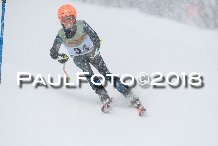 1. ASV Geiger Cup RS 20.01.2018