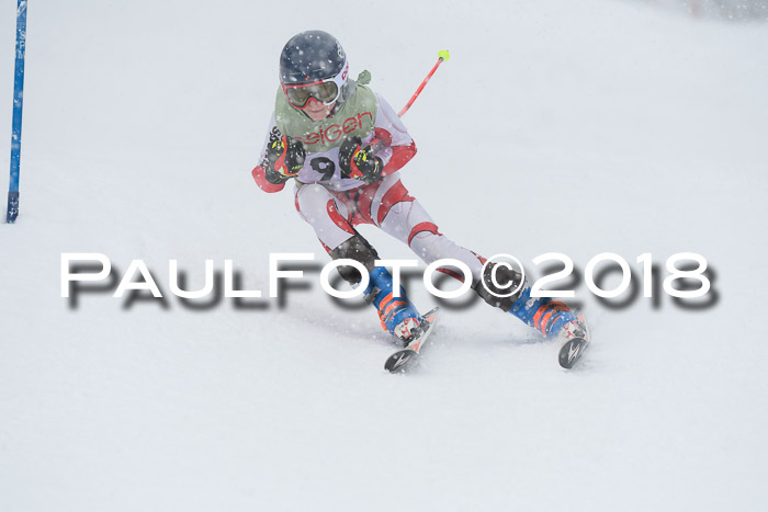 1. ASV Geiger Cup RS 20.01.2018