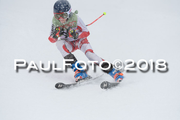 1. ASV Geiger Cup RS 20.01.2018