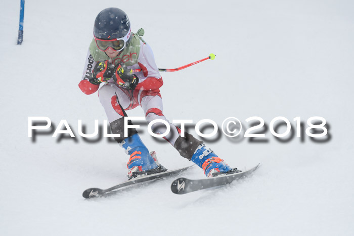 1. ASV Geiger Cup RS 20.01.2018