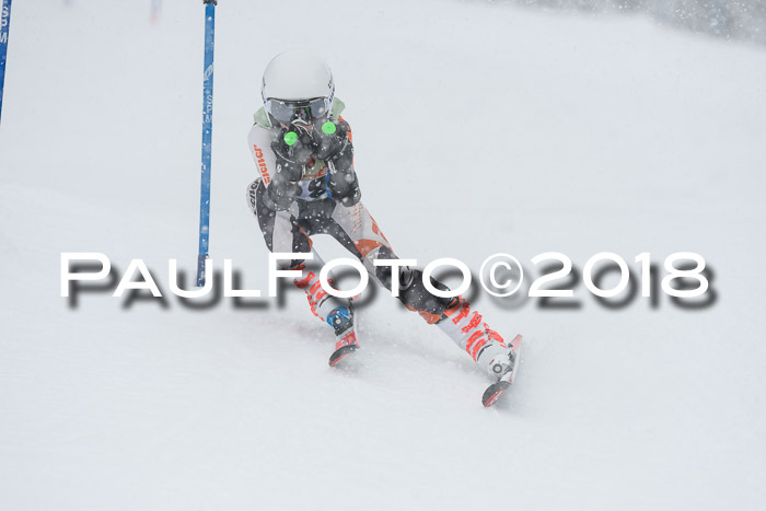 1. ASV Geiger Cup RS 20.01.2018