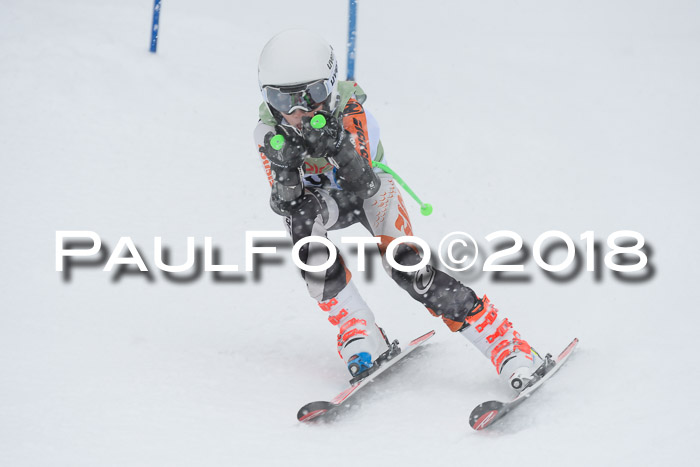 1. ASV Geiger Cup RS 20.01.2018