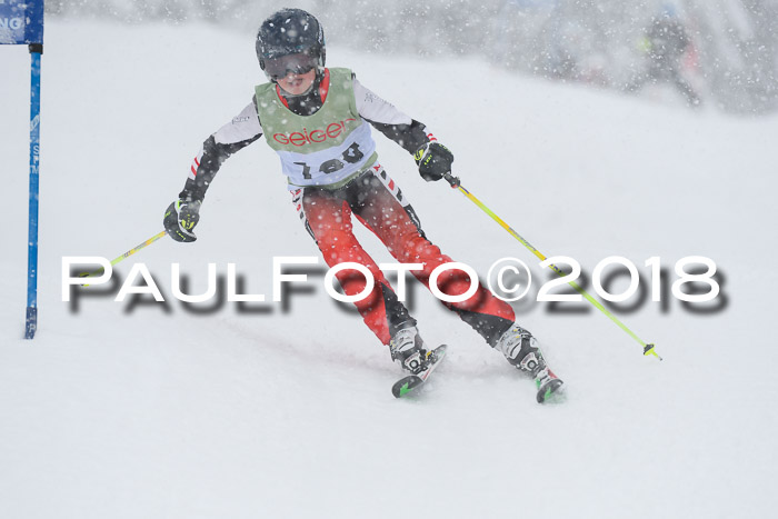 1. ASV Geiger Cup RS 20.01.2018