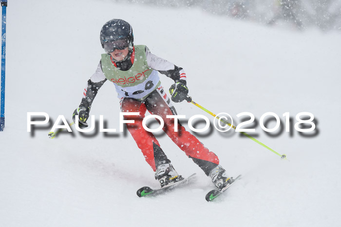 1. ASV Geiger Cup RS 20.01.2018