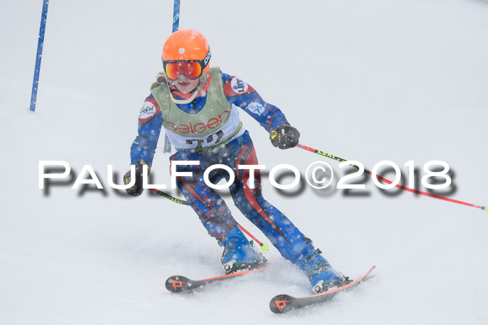 1. ASV Geiger Cup RS 20.01.2018