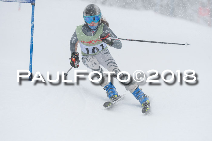1. ASV Geiger Cup RS 20.01.2018