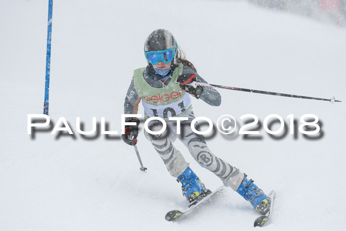 1. ASV Geiger Cup RS 20.01.2018