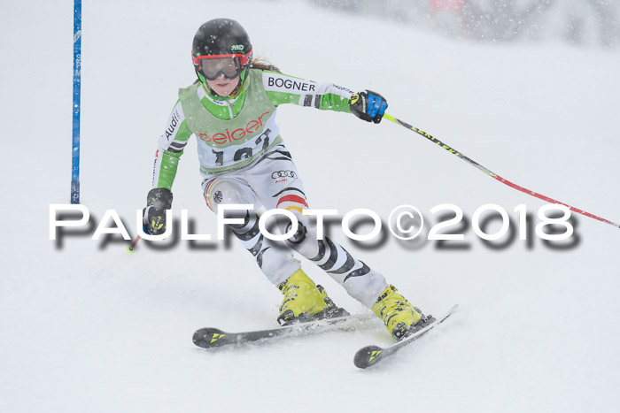 1. ASV Geiger Cup RS 20.01.2018
