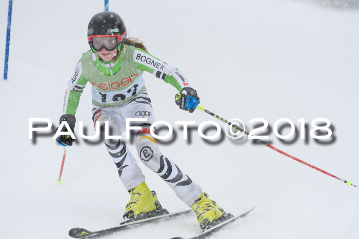 1. ASV Geiger Cup RS 20.01.2018