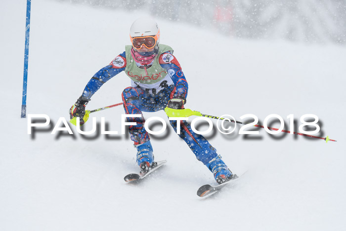 1. ASV Geiger Cup RS 20.01.2018