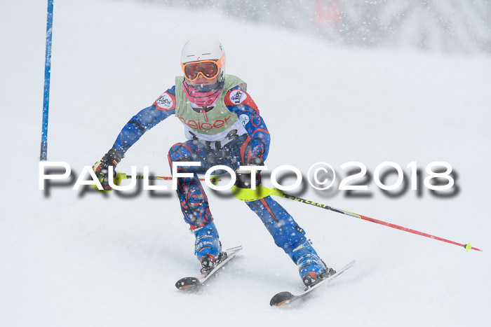 1. ASV Geiger Cup RS 20.01.2018