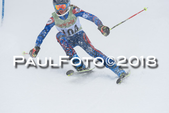 1. ASV Geiger Cup RS 20.01.2018