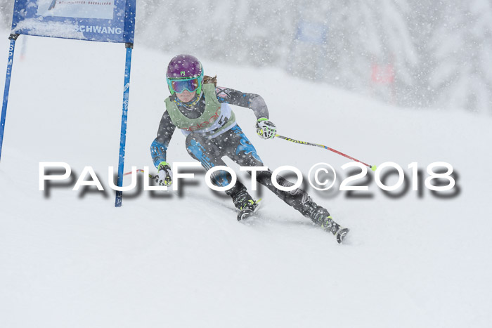 1. ASV Geiger Cup RS 20.01.2018