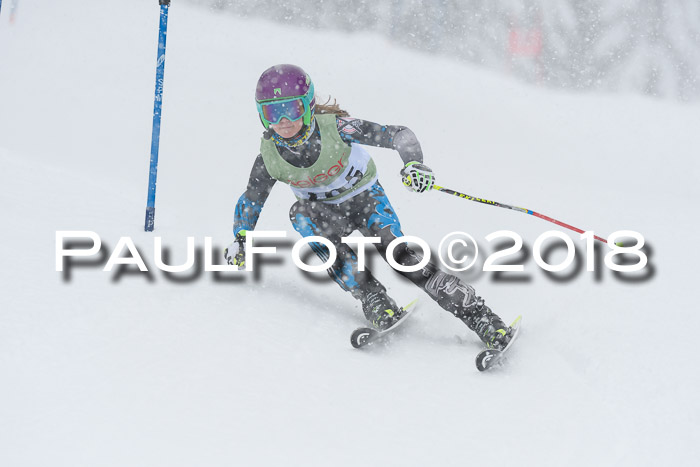 1. ASV Geiger Cup RS 20.01.2018