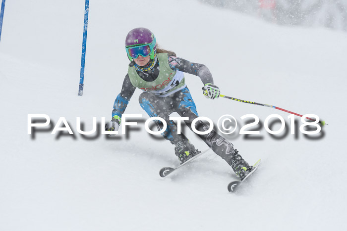1. ASV Geiger Cup RS 20.01.2018