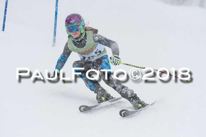 1. ASV Geiger Cup RS 20.01.2018