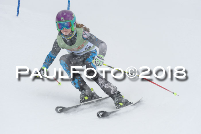 1. ASV Geiger Cup RS 20.01.2018