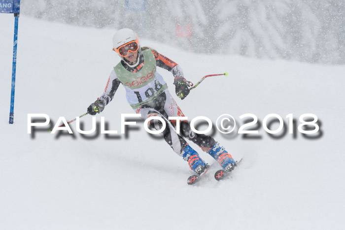 1. ASV Geiger Cup RS 20.01.2018