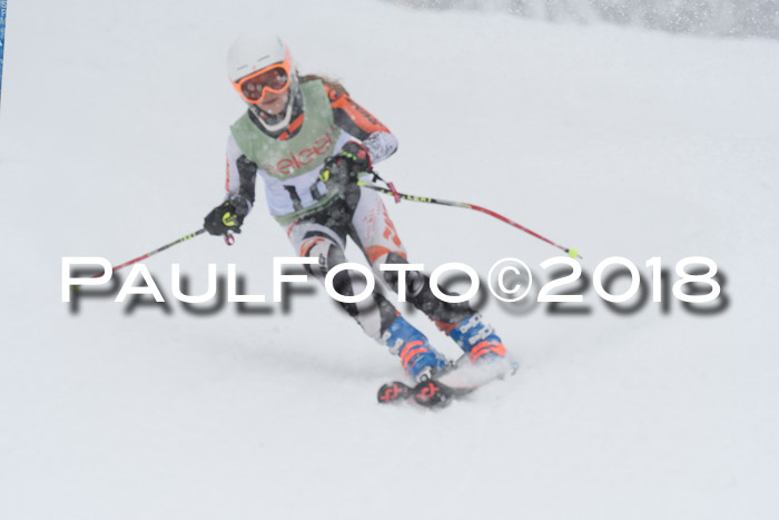 1. ASV Geiger Cup RS 20.01.2018