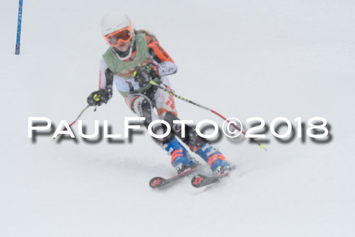 1. ASV Geiger Cup RS 20.01.2018