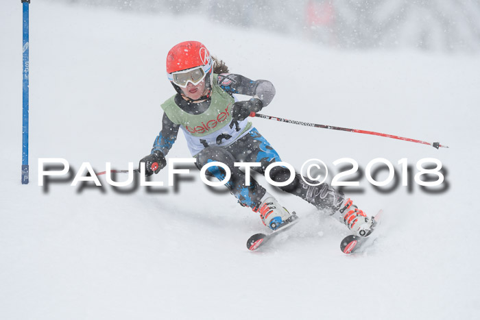 1. ASV Geiger Cup RS 20.01.2018