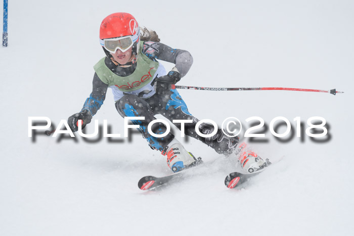 1. ASV Geiger Cup RS 20.01.2018