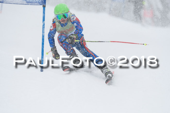 1. ASV Geiger Cup RS 20.01.2018