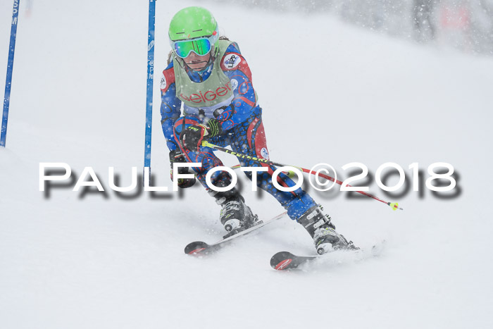 1. ASV Geiger Cup RS 20.01.2018
