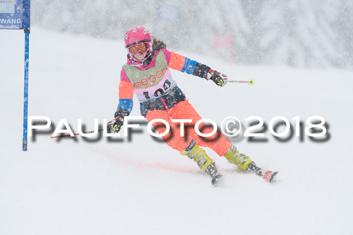 1. ASV Geiger Cup RS 20.01.2018