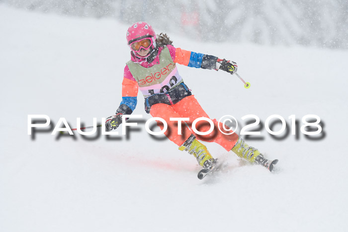 1. ASV Geiger Cup RS 20.01.2018
